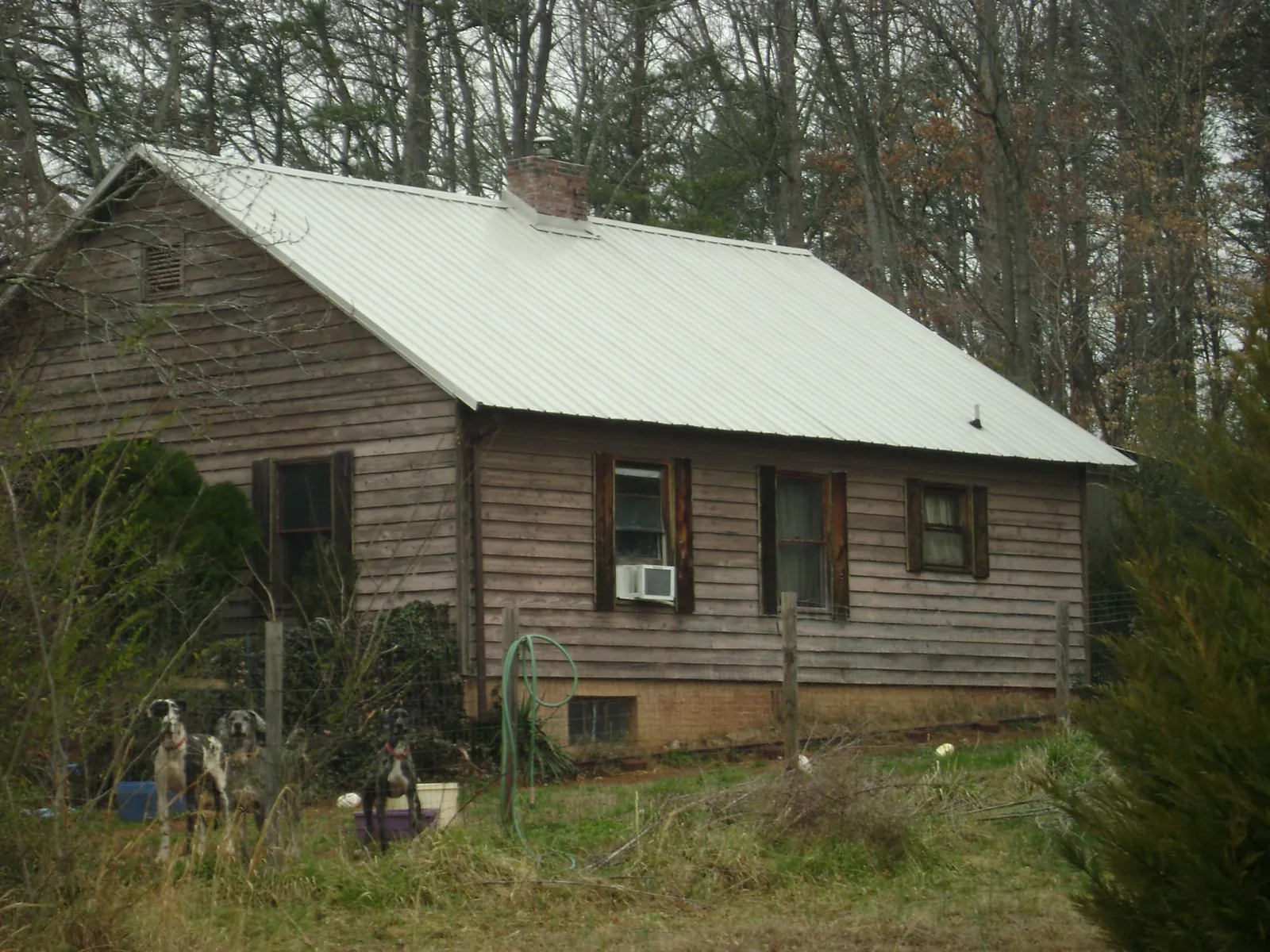 White metal roof on an old wood sided farmhouse, from a Asphalt Shingle Roof Repair job in Smithville
